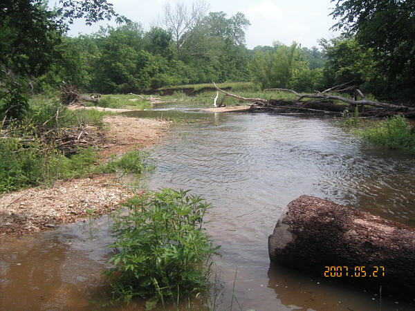  Dog Creek 