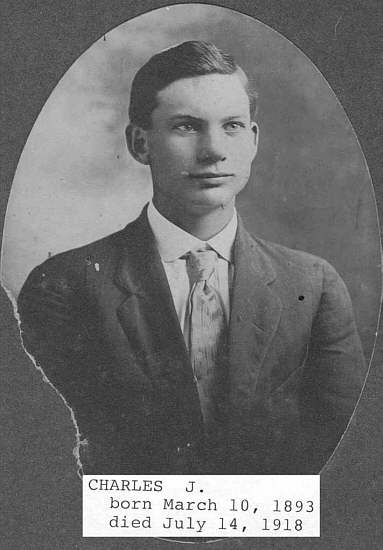 010 Charles J. McDaniel