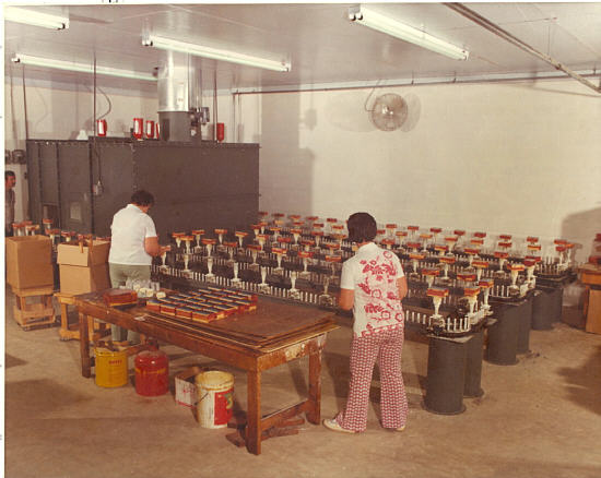  32 Automatic Lacquer Machine 