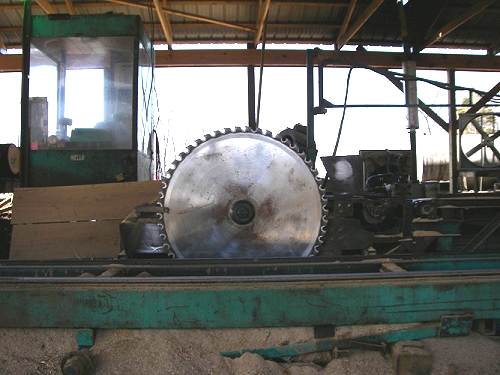 19 Big Saw Blade