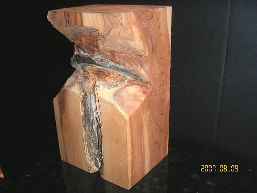 20 Mule Shoe In Cedar Log