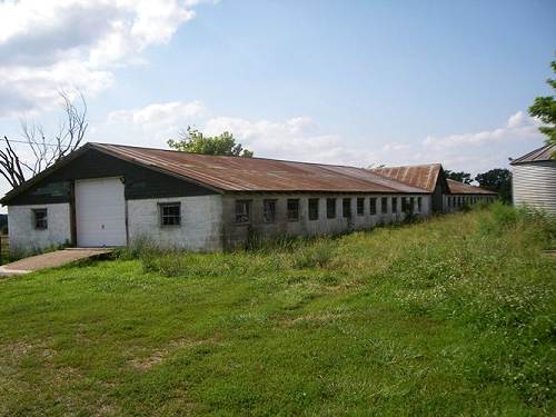 12 Large Brooder House