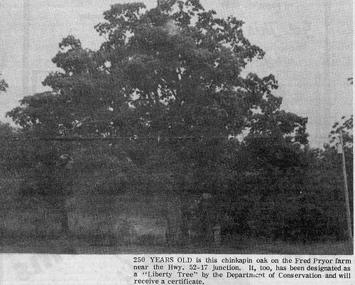 21 Liberty Tree at Pryor Farm - 1976