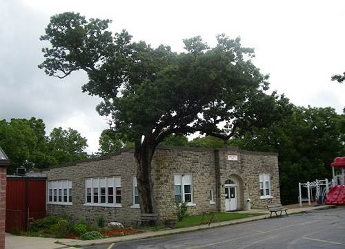 22 Liberty Tree at School - 2008