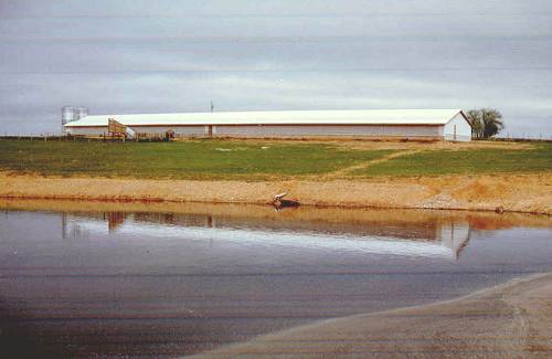 17 Confinement Barn