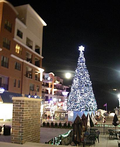 12 Landing Christmas Tree and Moon