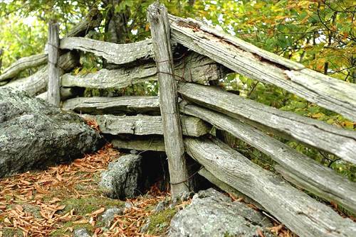 01 Split Rail Fence