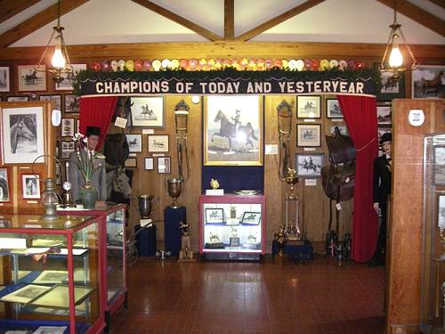 25 Saddle Horse Museum