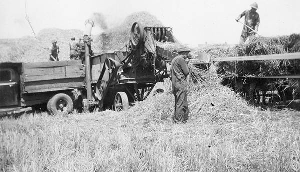 08 Threshing