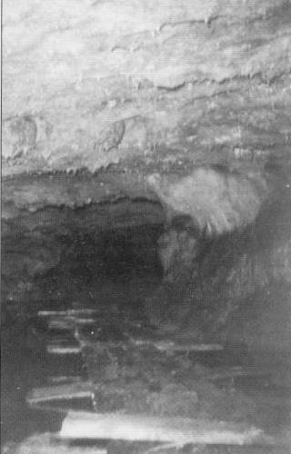 05 Klinger Vernon Cave