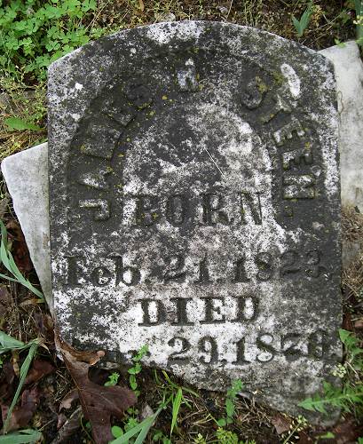 15 James Hodge Steen Headstone