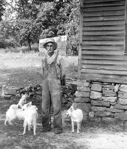 11 Oris Cordell Wright and White Spitz Dogs