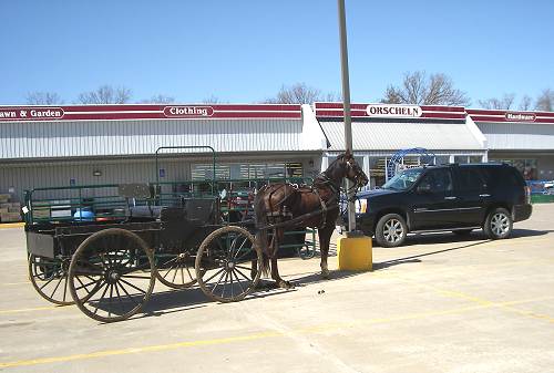 47 Horse and Wagon at Orscheln's