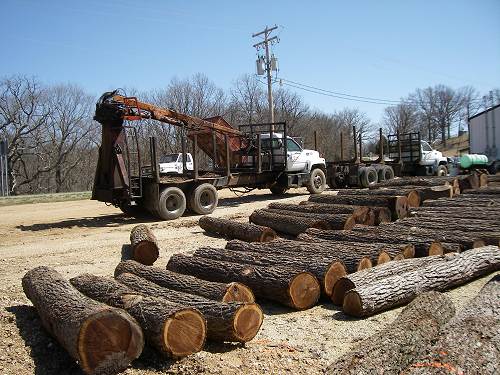 05 Logs and Trucks