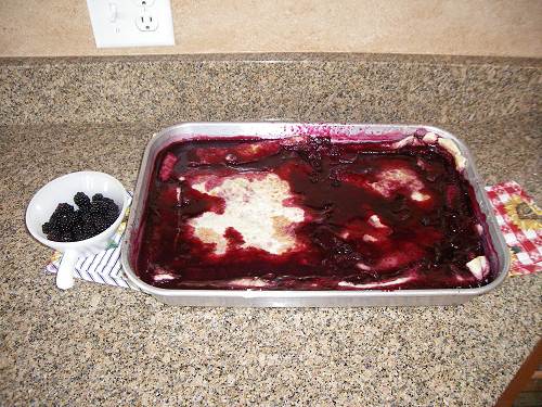 32 Blackberry Cobbler