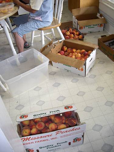 13 Peaches to be Worked Up