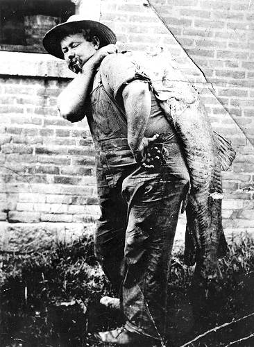 09 Fishin John McGowin - 1914 - In front of Linn Creek Courthouse with ninety pound Flat Head