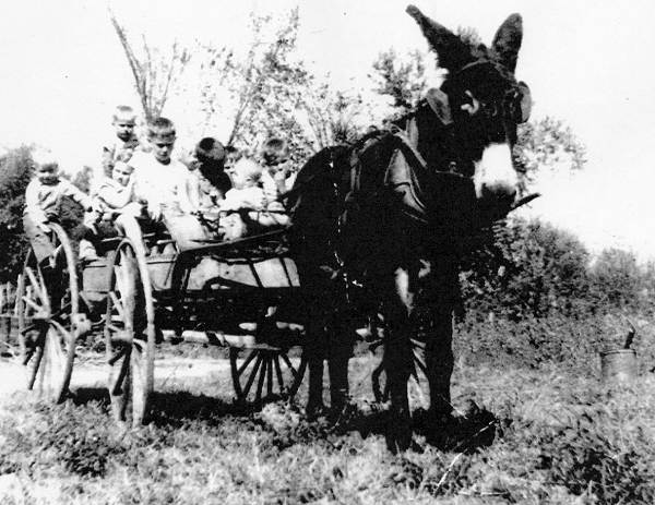 15 Left to Right: Danny McGowin, Two Cousins, Buck, Buster, two more Cousins and Kate the Donkey