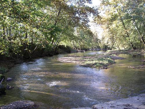 07 Big Tavern looking downstream near mouth at Osage River