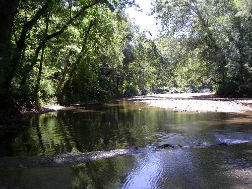 10 Big Saline Creek