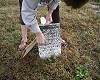 42 Cleaning Tombstone before Copying Inscription