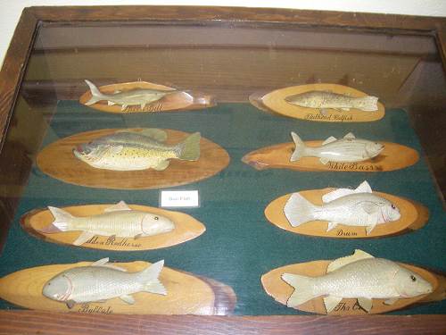 29 Fish Carvings