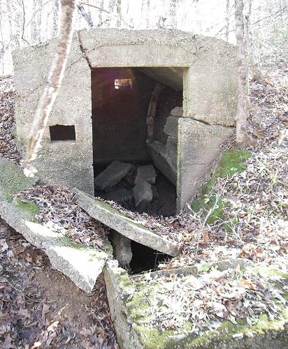 19 Root Cellar