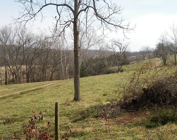 35 Limestone Pit in center surrounded by Cedar Trees