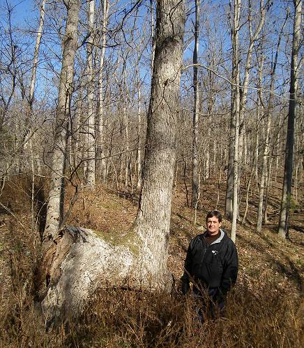 59 Bent Tree and Tom Wright