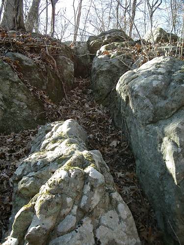 61 Rock Crevice