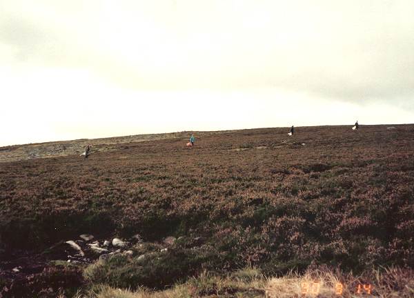 26 Beaters in Scottish Moor - Aug. 1990