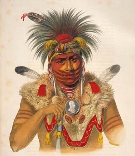 22 Fox Indian Chief