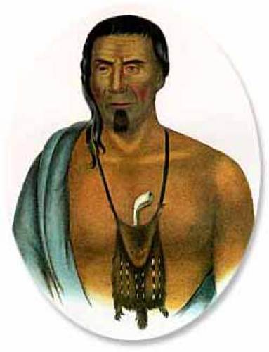 25 Delaware Indian