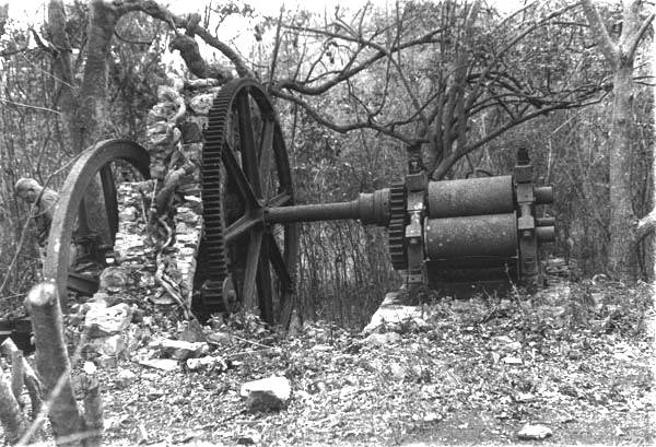 34 Replica of early style Steam Engine