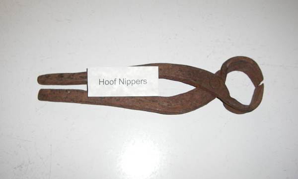 38 Hoof Nippers