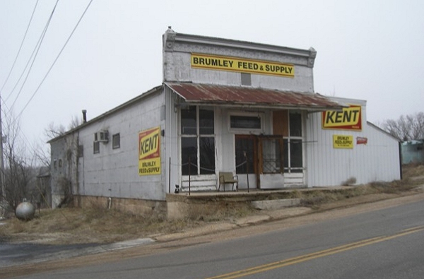 08 Hawkins, Thompson and Shelton Store - Brumley