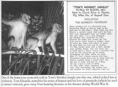 15 Tom's Monkey Jungle