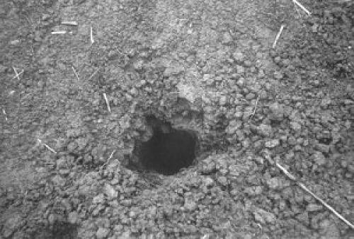 25 Hole in ground made by one of Landing Arms