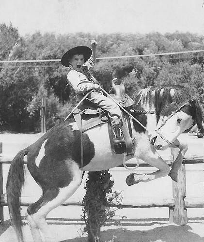 19 Joe Pryor on First Horse