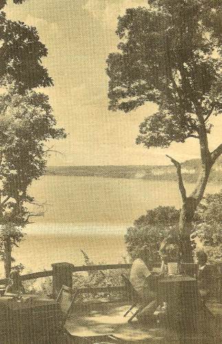 13 Picnic Area on bluff over look of Lake