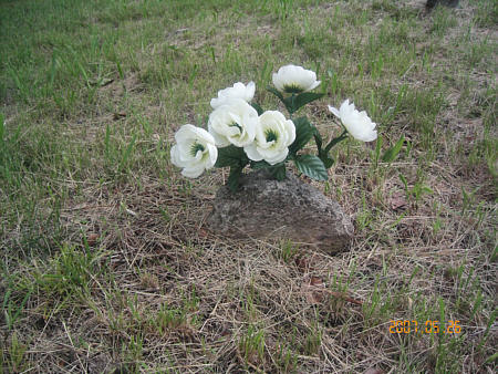 One Special Rock Marker