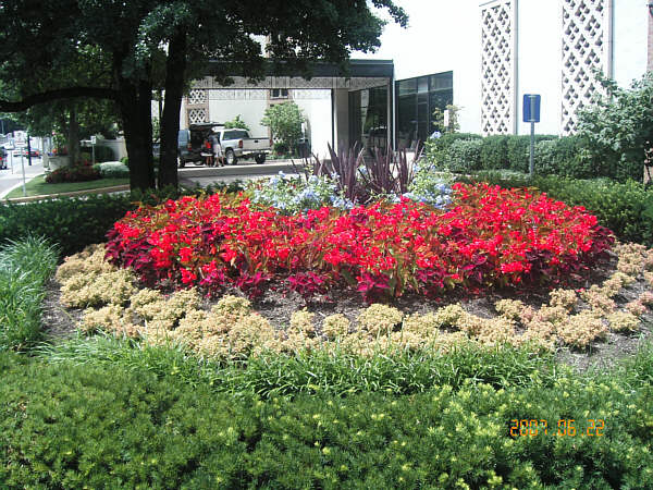 Flowers on the Country Club Plaza at Kansas City