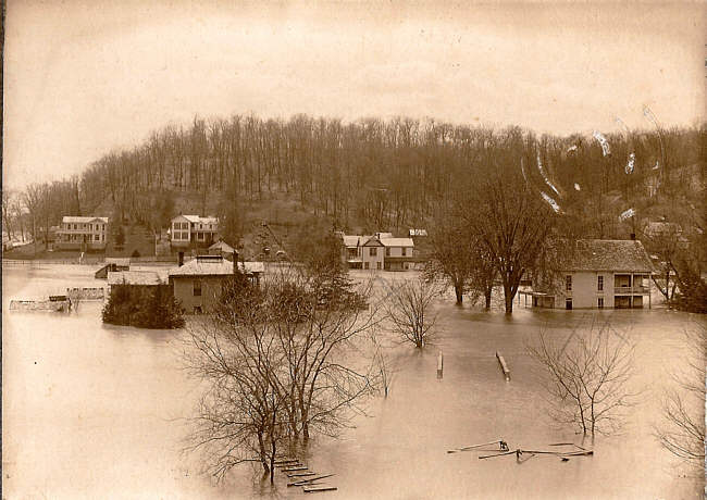 Bear house in middle