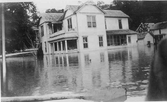 Bear Home In Flood