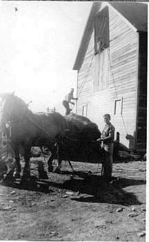 Putting hay in barn loft
