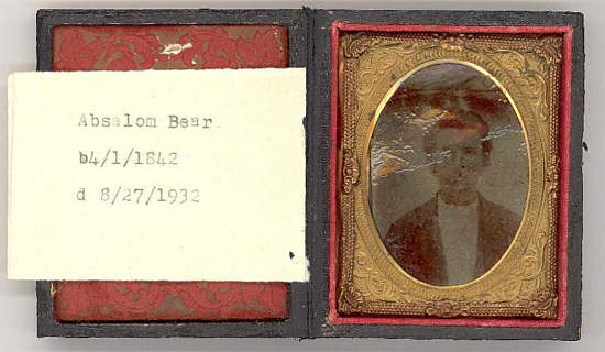 12 Absolom Bear