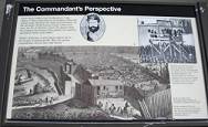 09 Commander's Perspective