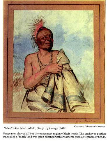 22 Tcha-To-Ga, Mad Buffalo, Osage