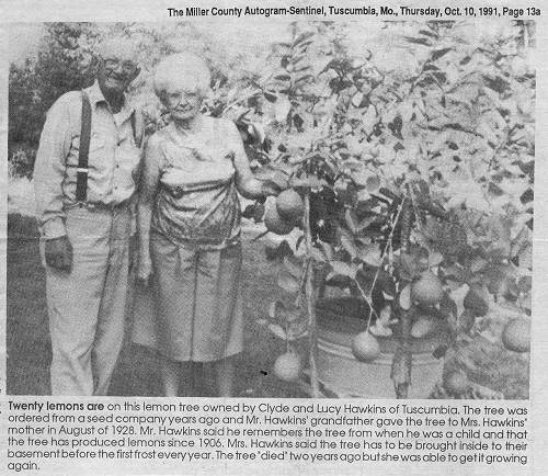 08 Clyde and Lucy with Lemon Tree - Article-10Oct1991