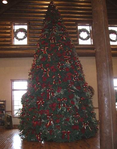 13 Christmas Tree at Keeter Center
